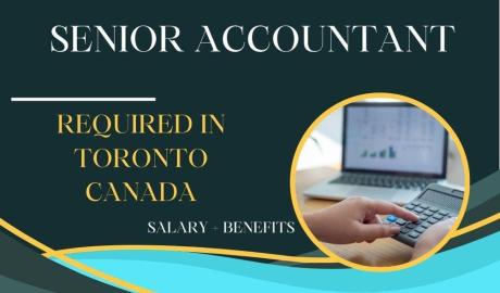 Senior Accountant