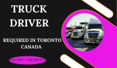 Truck Driver