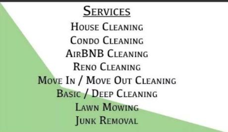 Professional house cleaning