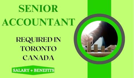 Senior Accountant