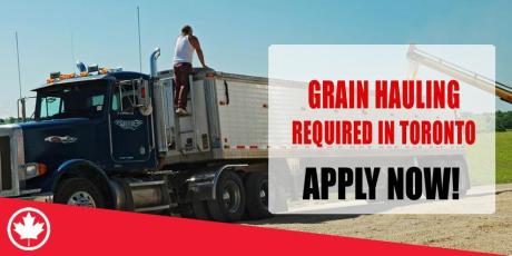 GRAIN HAULING REQUIRED IN TORONTO