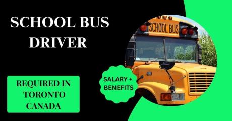 School Bus Driver
