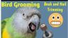 Mobile Bird Grooming/Beak, Nail Trimming/DNA Services offered