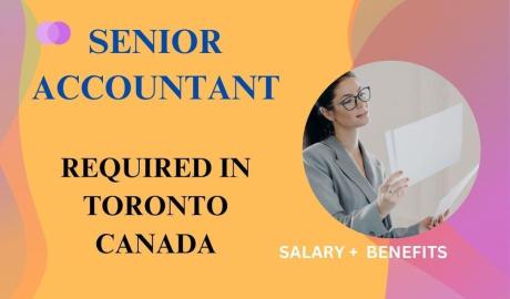 Senior Accountant