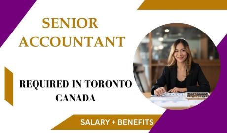 Senior Accountant