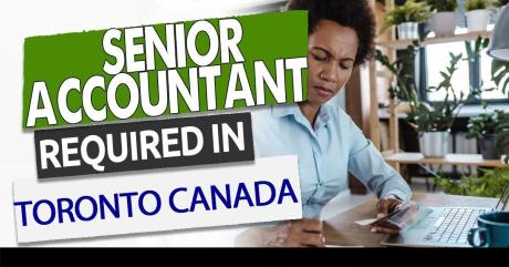Senior Accountant