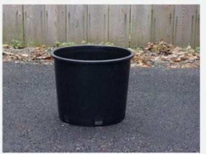 Wanted: In search of plant pots