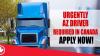 URGENTLY AZ DRIVER REQUIRED IN CANADA REQUIRED IN DUBAI