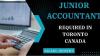 Junior Accountant