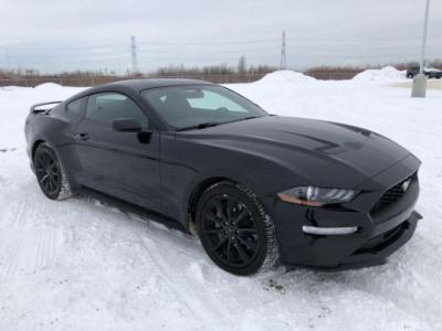2018 Ford Mustang - EcoBoost w/Spoiler! $25,793.00+ applicable taxes