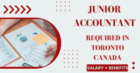 Junior Accountant