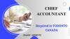 Chief Accountant