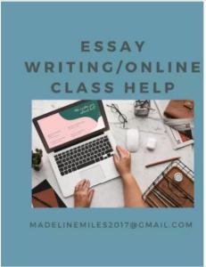 Essay Writing and Online Class Help