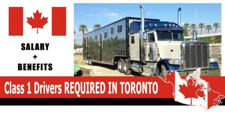 Class 1 Drivers REQUIRED IN TORONTO