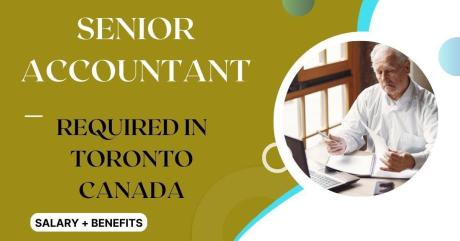 Senior Accountant