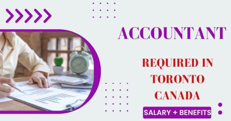 Accountant