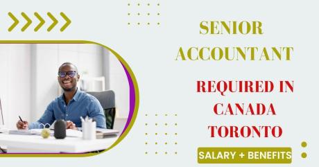 Senior Accountant