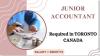 Junior Accountant