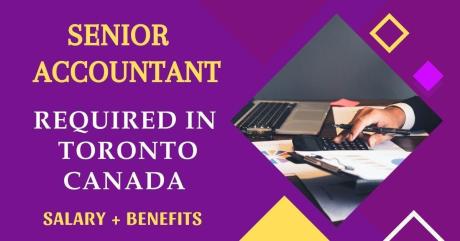 Senior Accountant