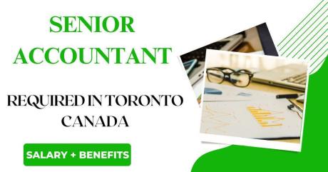 Senior Accountant