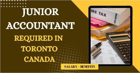 Junior Accountant