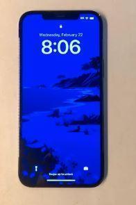 iPhone 12 Pro Max 256GB Graphite