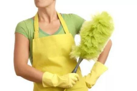 Part-time House Cleaners $17/hr