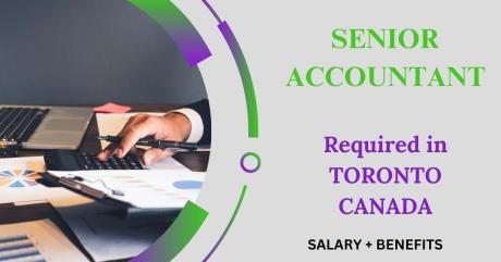 Senior Accountant