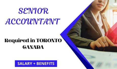 Senior Accountant