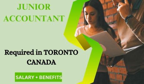 Junior Accountant