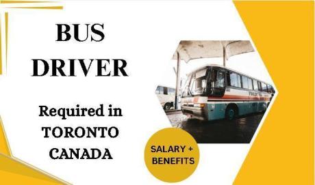 Bus Driver