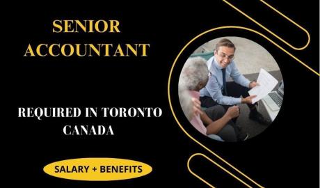 Senior Accountant
