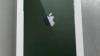 New in sealed box iPhone 128 Gb green