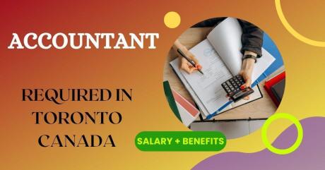 Accountant