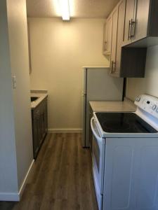 Wonderful One Bedroom Suite - First Month Half Off