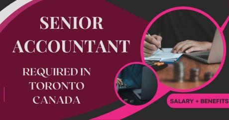 Senior Accountant