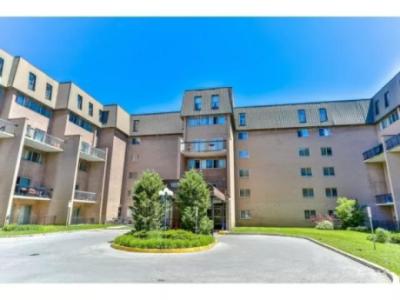 *Utilities Included* 2 bed Condo (south-facing, duplex suites,) $2,400