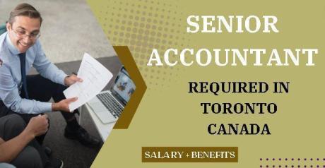 Senior Accountant