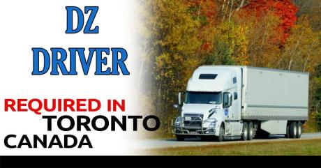 Dz experience Driver