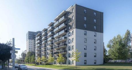 Newly Renovated 1 Bedroom Suites