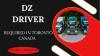 DZ Driver