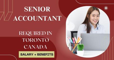 Senior Accountant