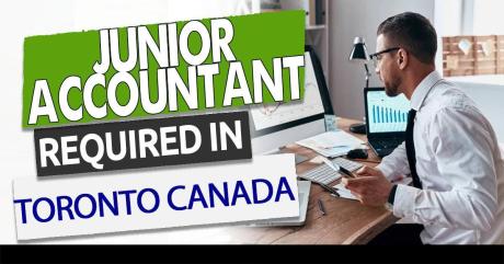 Junior Accountant
