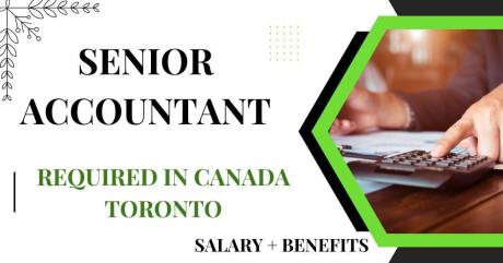 Senior Accountant