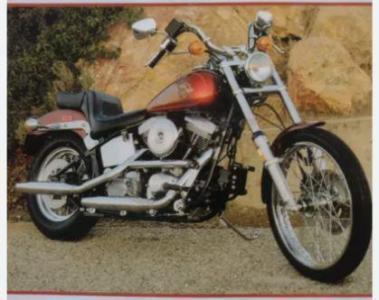 Clymer Harley Davidson FLS/FXS Evolution Manual 1984-1999