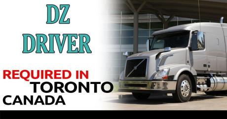 DZ Truck Driver