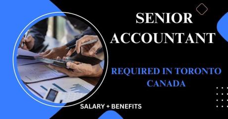 Senior Accountant