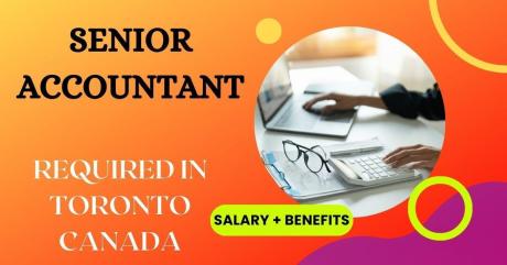 Senior Accountant